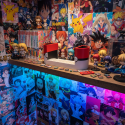 PRESENTOIRE JEUX SWITCH / SWITCH 2